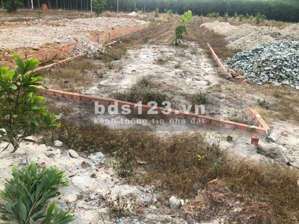 CƠN SỐT ĐẤT CHƠN THÀNH, BÌNH PHƯỚC