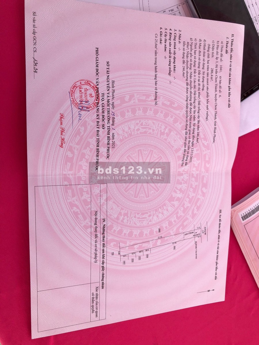 CƠN SỐT ĐẤT CHƠN THÀNH, BÌNH PHƯỚC