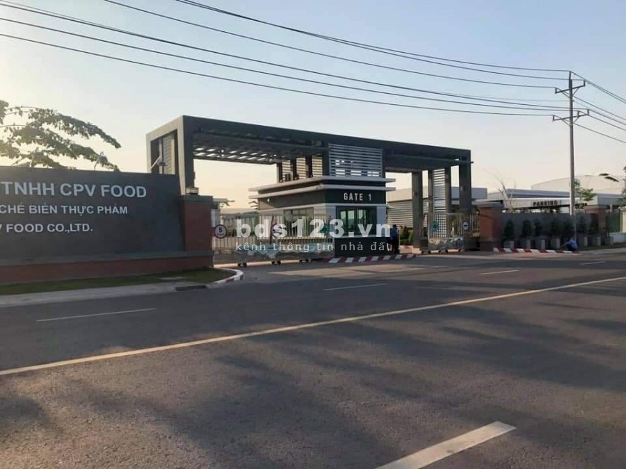 CƠN SỐT ĐẤT CHƠN THÀNH, BÌNH PHƯỚC