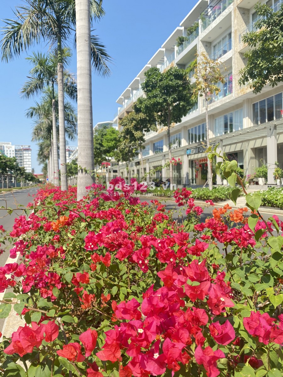 ( DIỆN TÍCH SỬ DỤNG LỚN- HIẾM GẶP) Cho thuê 5 căn nhà phố thương mại liền kề SARI TOWN SALA LH 0909246874