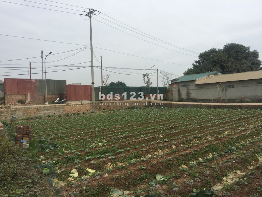 Cần bán gấp mảnh đất 570m2 sổ đỏ chính chủ