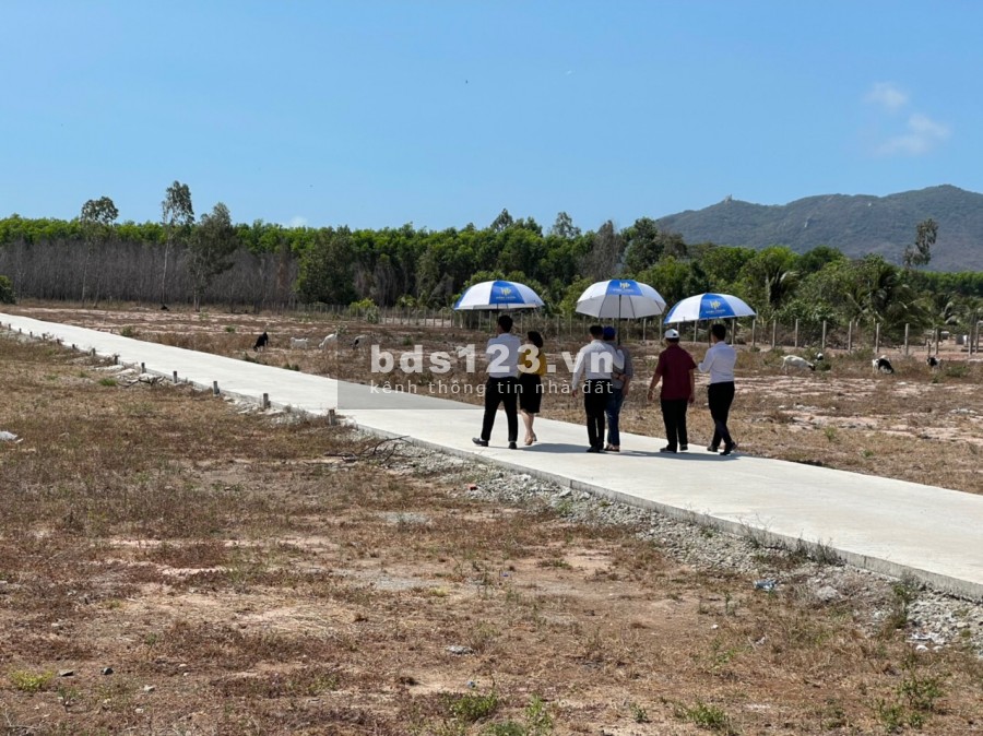 ĐẤT THỔ CƯ SÁT BIỂN LONG HẢI GIÁ CHỈ TỪ 890 triệu 100m2