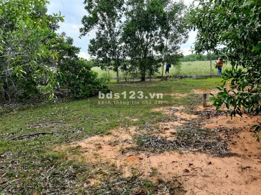 Chỉ 2,4 tỷ/sào đất đường 706B, Thiện Nghiệp, Phan Thiết