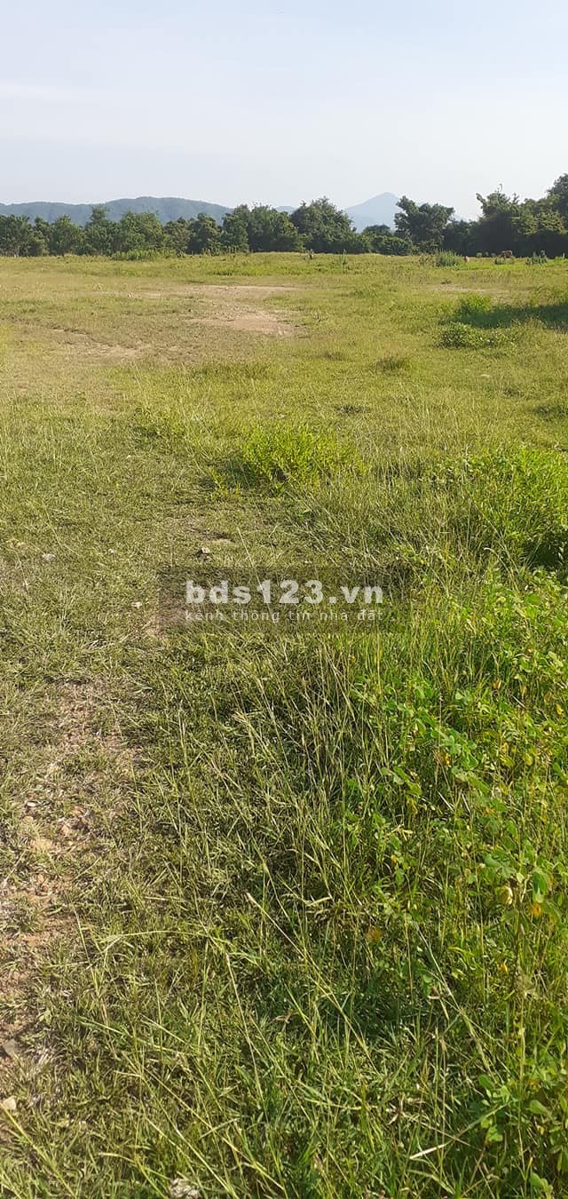 Đất xã Bình Tân Huyện Bắc Bình Gần Khu Năng Lượng Mặt Trời