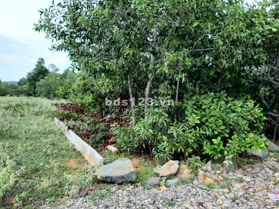 Chỉ 2,4 tỷ/sào đất đường 706B, Thiện Nghiệp, Phan Thiết