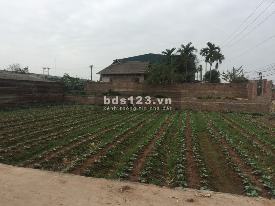 Cần bán gấp mảnh đất 570m2 sổ đỏ chính chủ