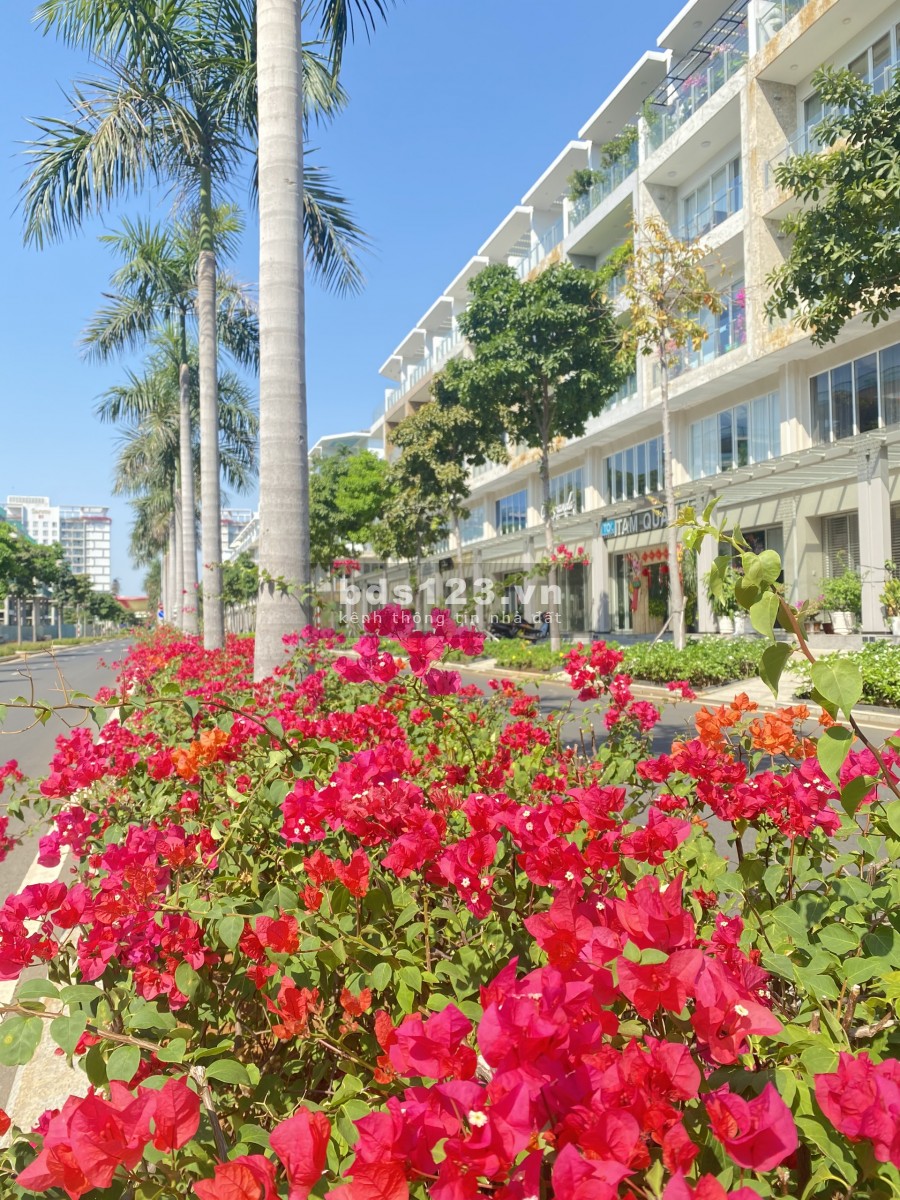 ( DIỆN TÍCH SỬ DỤNG LỚN- HIẾM GẶP) Cho thuê 5 căn nhà phố thương mại liền kề SARI TOWN SALA LH 0909246874