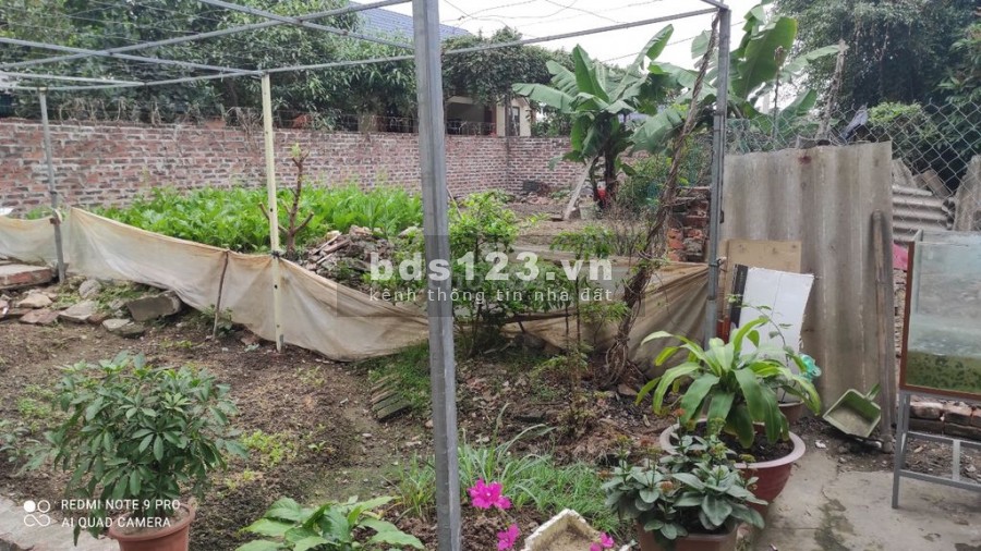 Chính chủ bán mảnh đất hai mặt ngõ tại - Thôn Đoài - Xã Nam Hồng – Đông Anh DT 64m2 Giá 1.5 tỷ