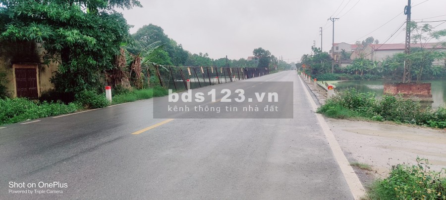 Đất Nền Phân Lô Giá Rẻ An Lão - Hải Phòng