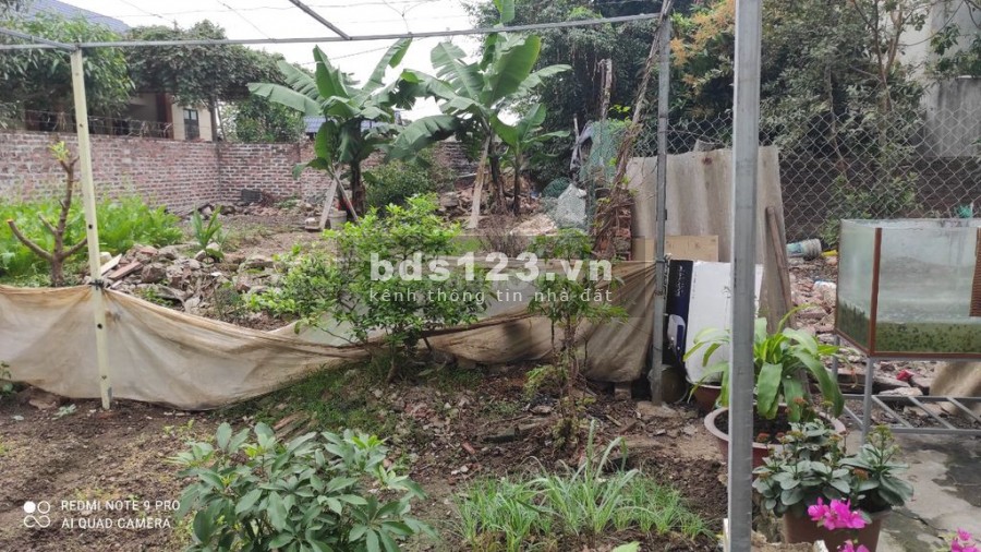 Chính chủ bán mảnh đất hai mặt ngõ tại - Thôn Đoài - Xã Nam Hồng – Đông Anh DT 64m2 Giá 1.5 tỷ