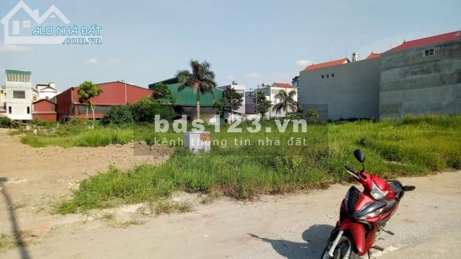 Bán nhanh vài lô đabaco giai đoạn 1 thuận thành ,bắc ninh