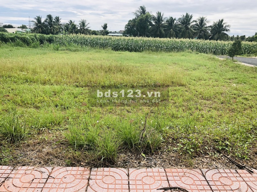 Đất nền thổ cư giá công nhân gấn khu công nghiệp Tân Hương