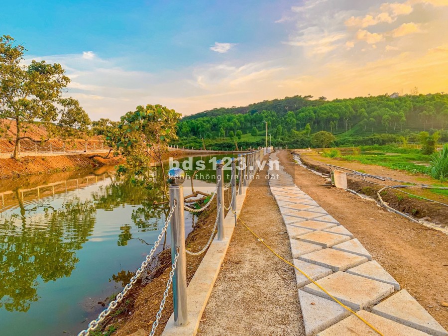 Đất Đồi chè tâm châu hót nhất thành phố Bảo Lộc