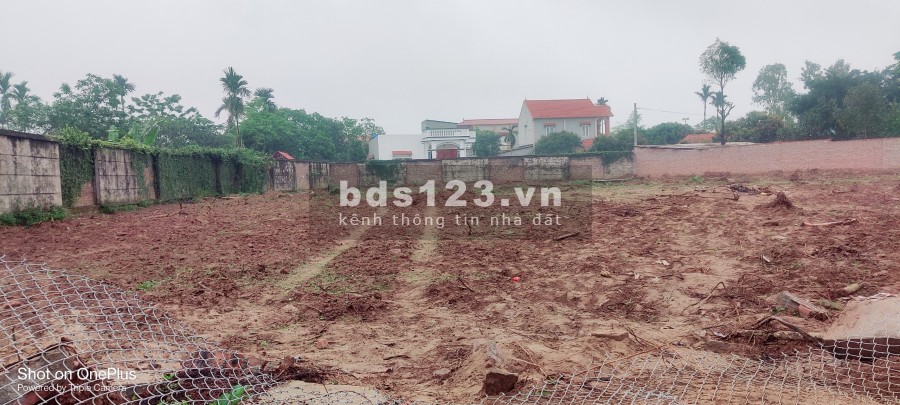 Đất Nền Phân Lô Giá Rẻ An Lão - Hải Phòng