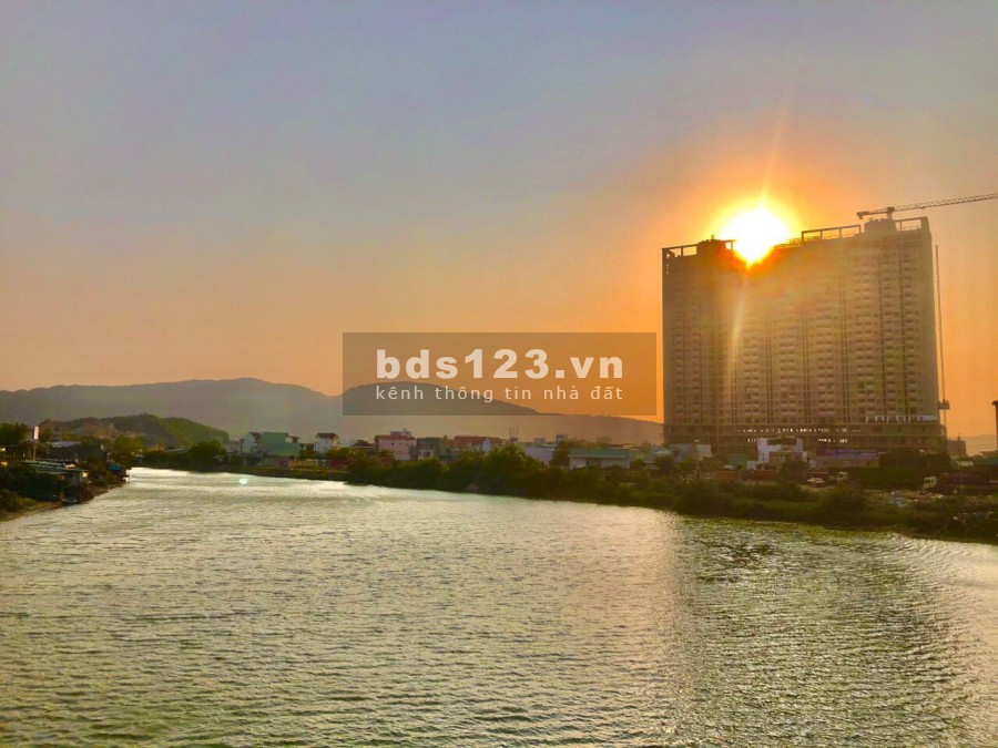 Bán căn hộ chung cư Ecolife Reverside