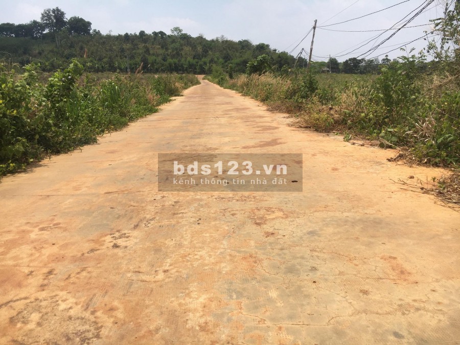 Đất Bình Phước giá rẻ 3 mặt tiền sổ sẵn