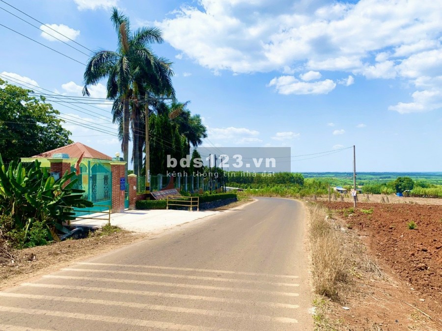 Đất Mặt Tiền Long Thành, 3 tỷ/1000m2, Không phí môi giới