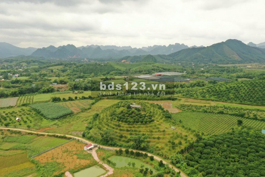 SIÊU PHẨM NGHỈ DƯỠNG TẠI KIM BÔI HÒA BÌNH - 1,8HA VIEW SIÊU ĐẸP, GIÁ SIÊU RẺ