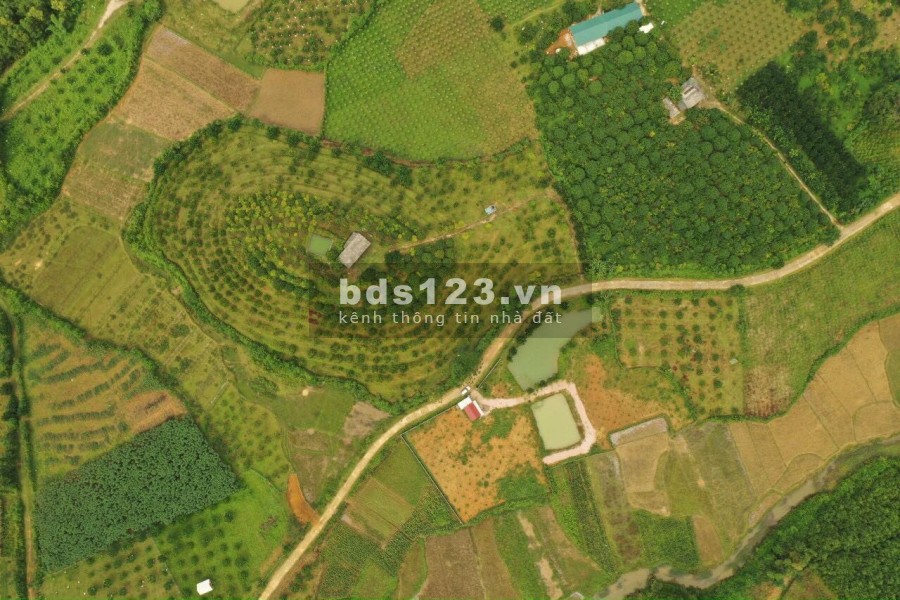 SIÊU PHẨM NGHỈ DƯỠNG TẠI KIM BÔI HÒA BÌNH - 1,8HA VIEW SIÊU ĐẸP, GIÁ SIÊU RẺ