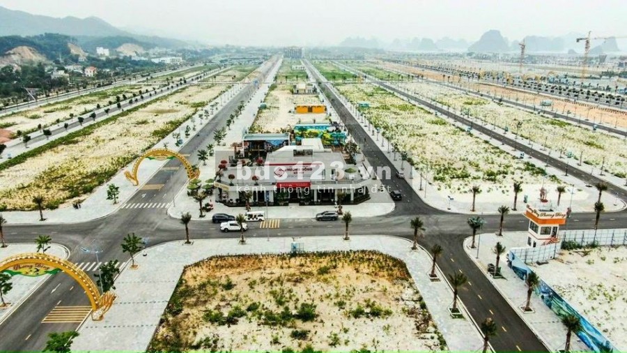 Biệt thự nghỉ dưỡng phức hợp Phương Đông Vân Đồn 300m đã có sổ đỏ từng lô