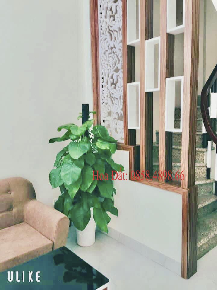 Nhà Đẹp Xuân Đỉnh Muốn Bán 35m2 Chỉ 3,2 tỷ Hàng Hiếm Bay Nhanh