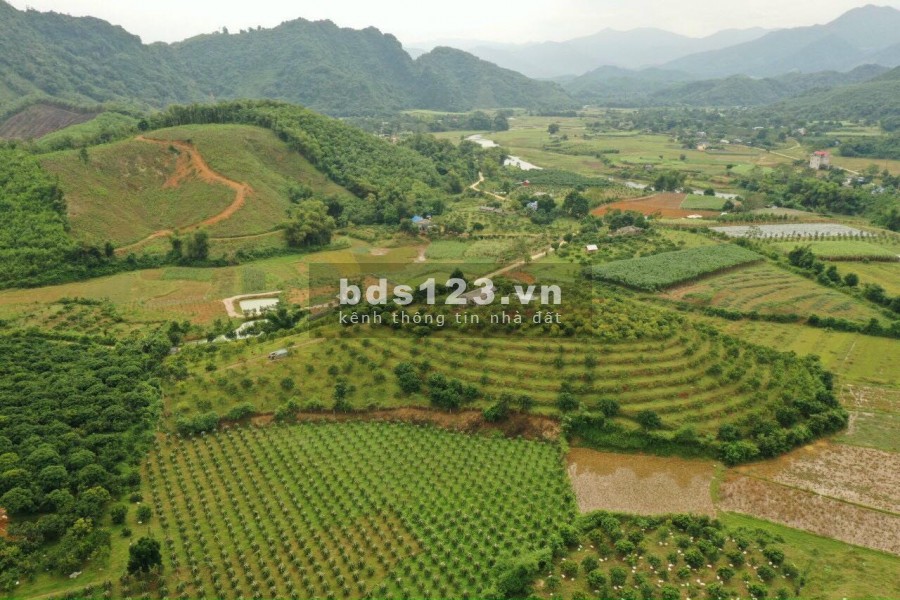 SIÊU PHẨM NGHỈ DƯỠNG TẠI KIM BÔI HÒA BÌNH - 1,8HA VIEW SIÊU ĐẸP, GIÁ SIÊU RẺ