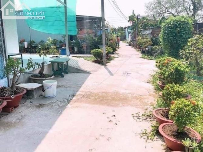 Cần tiền gấp nên bán gấp đất nền đường Chợ Lớn, Quận 6, sang tên ngay trong ngày