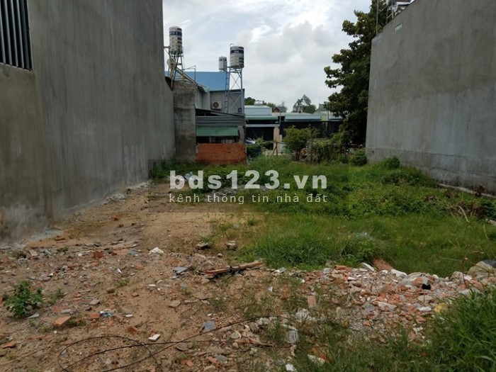 Bán đất 72m2 SHR đường DT 833B huyện Cần Đước