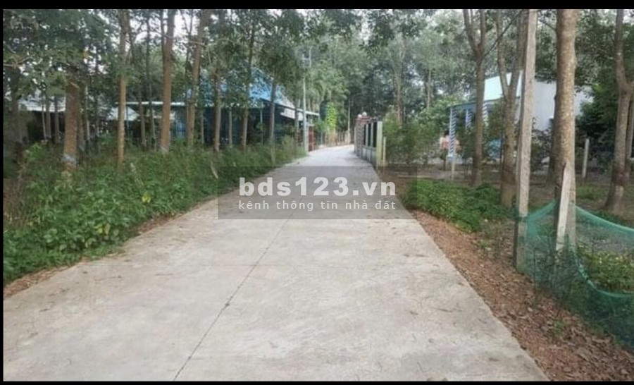 Đất Thị Xã Bình Long, Chính Chủ Sổ Hồng T4-2021