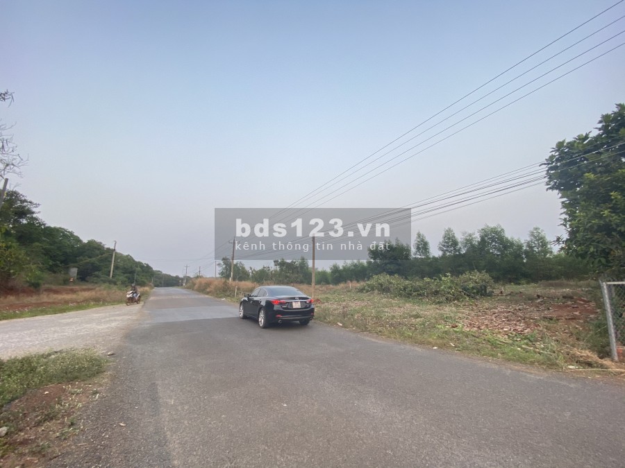 Đất sổ riêng, cạnh trường Đại Học Y Dược 2, Đại Học Ngân Hàng, mặt tiền 32m, Phước Bình, Long Thành