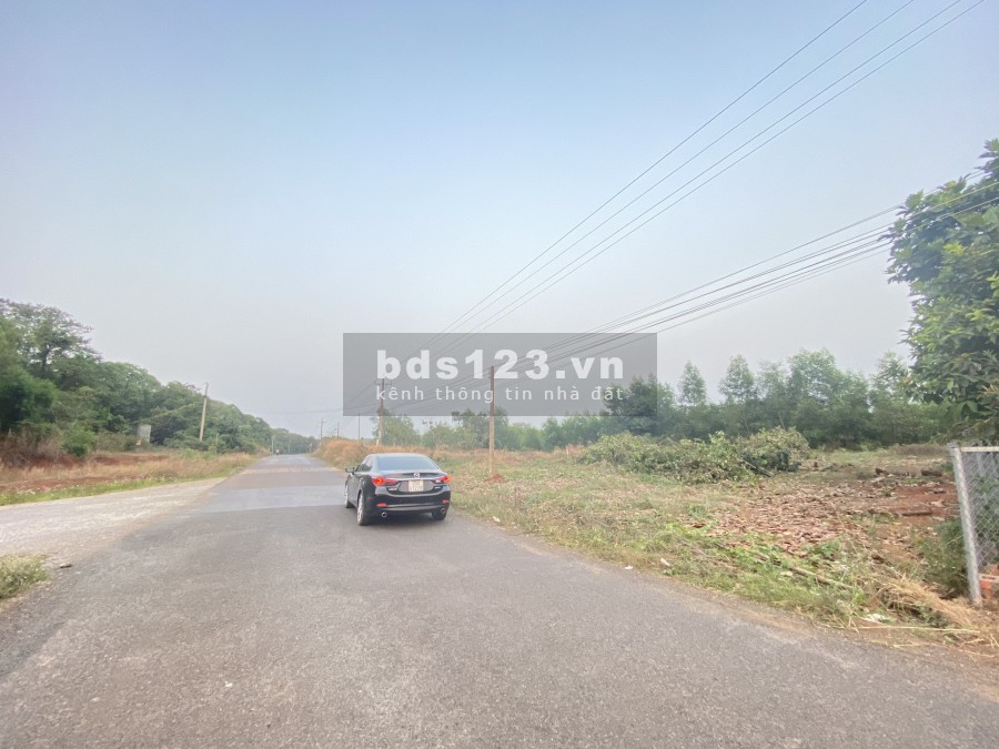Đất sổ riêng, cạnh trường Đại Học Y Dược 2, Đại Học Ngân Hàng, mặt tiền 32m, Phước Bình, Long Thành