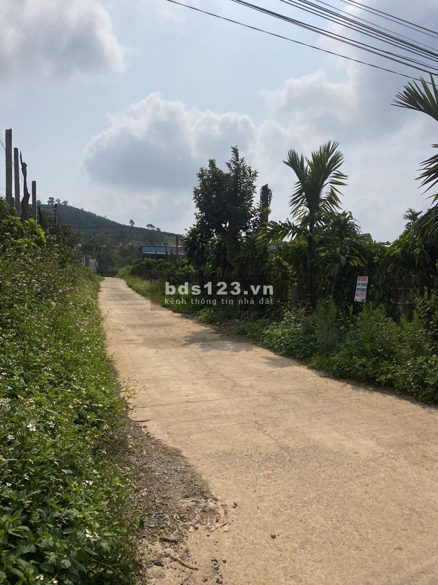 75. Cần bán lô đất 750 m2 xã Đại Lào
