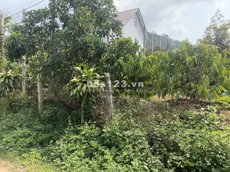 75. Cần bán lô đất 750 m2 xã Đại Lào