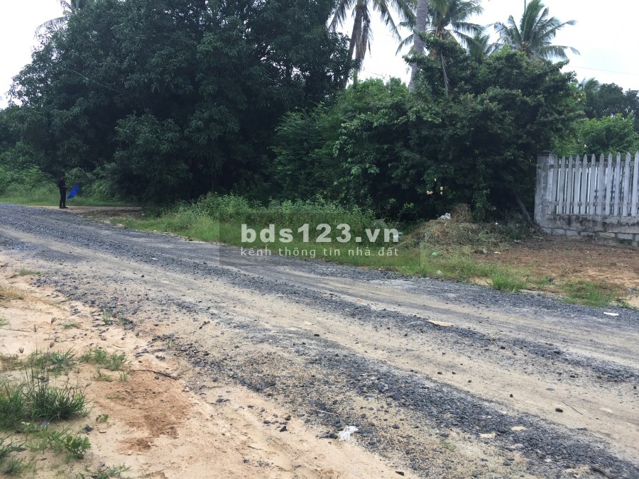 Cho thuê đất 2 mặt tiền Đường số 1 hẻm ô tô, Cam Thành Bắc, Cam Lâm, ô tô tải 2 chiều 1160m2/2tr/tháng