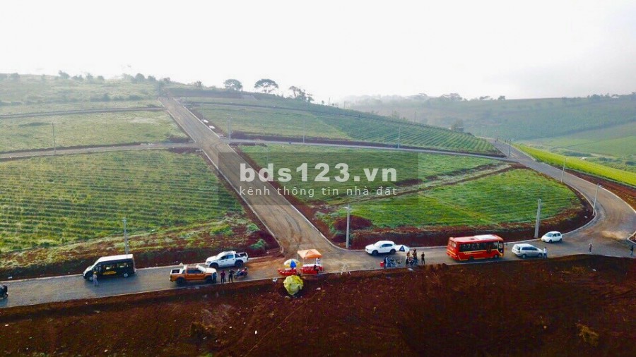 Đất Đồi chè Tâm châu view cực đẹp hót nhất thành phố Bảo Lộc