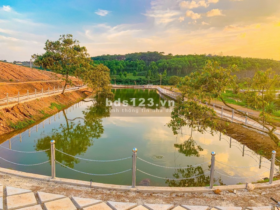 Đất Đồi chè Tâm châu view cực đẹp hót nhất thành phố Bảo Lộc