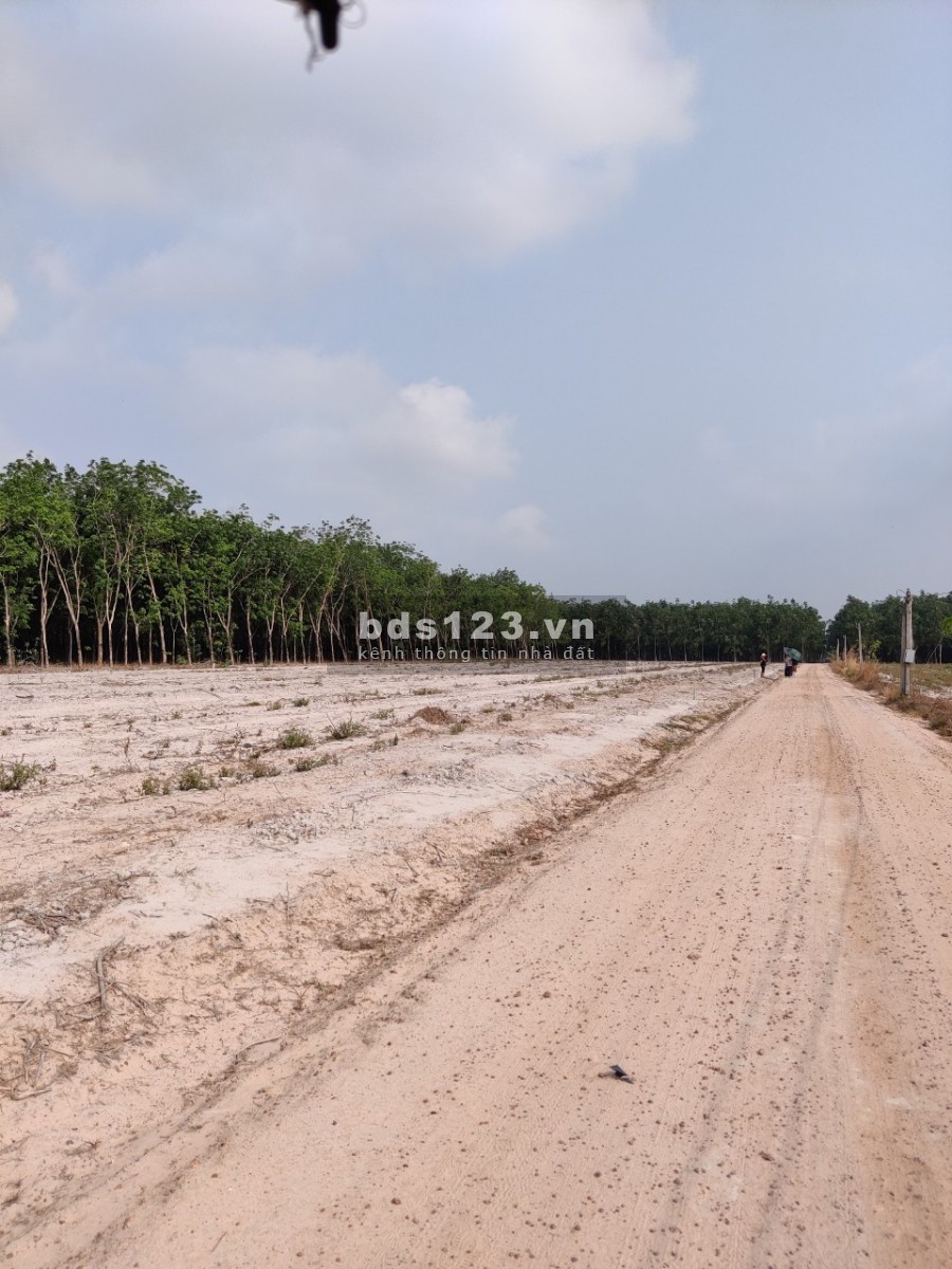 Chính chủ cần bán 1600m2 đất ở Suối Dây, Tân Châu, Tây Ninh