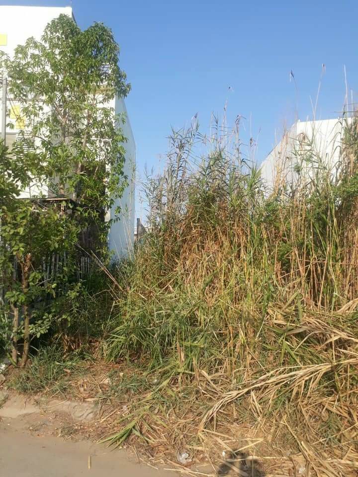 CHÍNH CHỦ CẦN BÁN ĐẤT DT : 154M (6x26M ) HẺM XE HƠI VỪA RỘNG VỪA RẺ, GIÁ CHỈ 31.5 TRIỆU/M2 Ở ĐƯỜNG LÊ VĂN LƯƠNG, XÃ NHƠN ĐỨC, HUYỆN NHÀ BÈ.