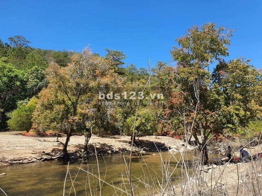 Chính chủ bán đất ngay sau nhà hàng TÂM CHÂU full thổ cư , 135m2 chỉ 580tr, shr.