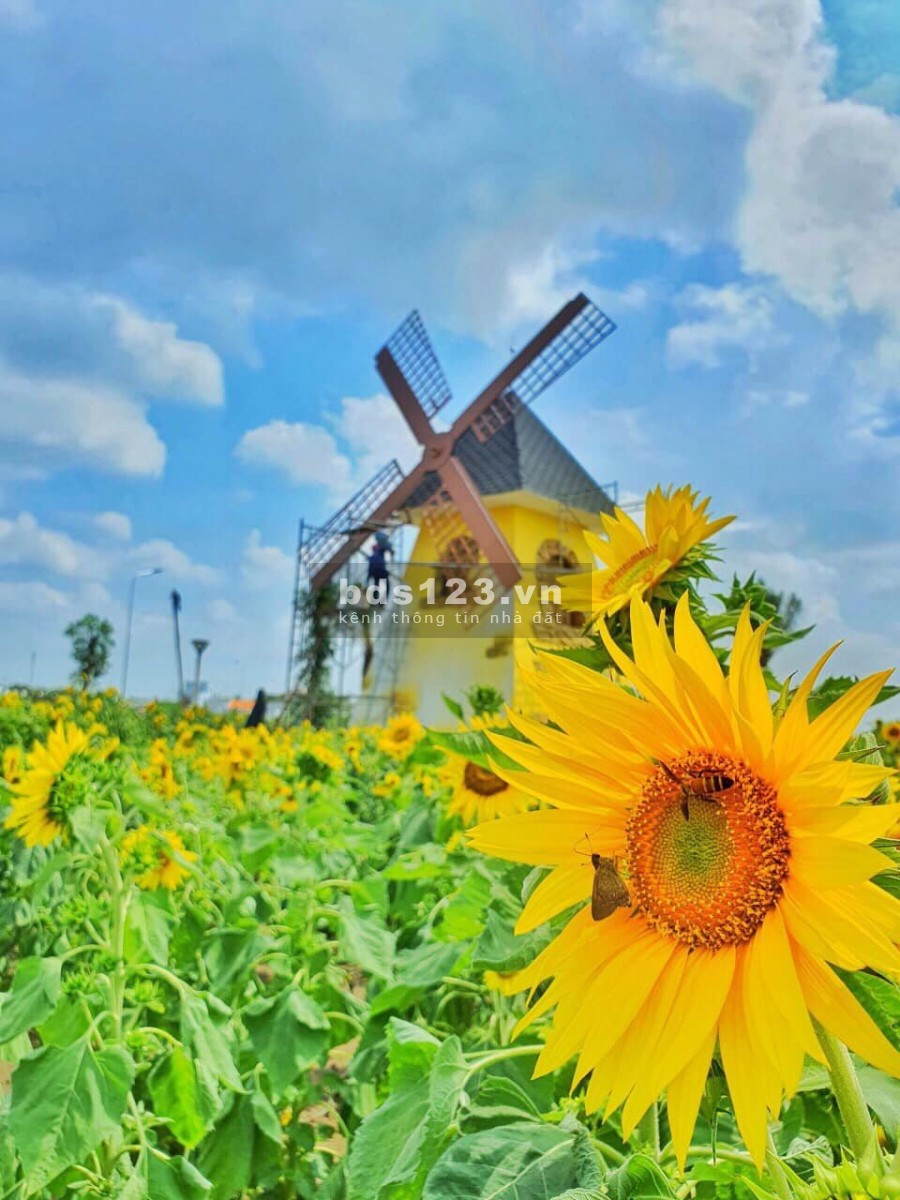 Nhận báo giá The SOL City Hưng Long Bình Chánh, SHR, lợi nhuận trên 30%/ năm
