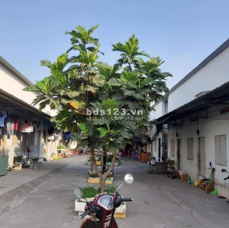 Đất hẻm 8m TP Thủ Đức 1100m2 28x40 chỉ 38tr1m Linh Xuân Thủ Đức Tổng 40ty