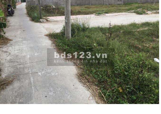 Đất đường 830B giá 400 triệu Bến Lức Long An