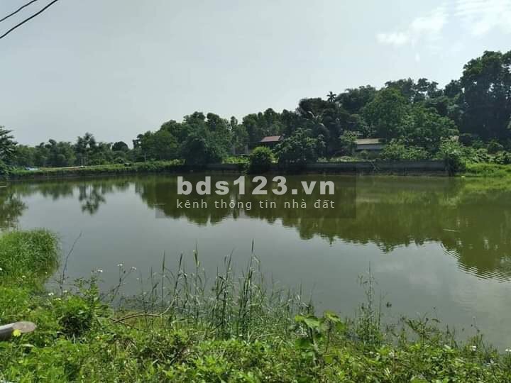 BÁN ĐẤT LƯƠNG SƠN HÒA BÌNH - CHÍNH CHỦ CẦN BÁN 1441M VIEW HỒ TẠI NHUẬN TRẠCH, GIÁ 2,1 TRIỆU/M