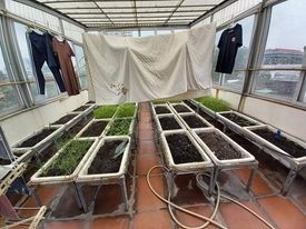 Bán nhà phố Huế 82m, 5 tầng giá 15.2 tỷ