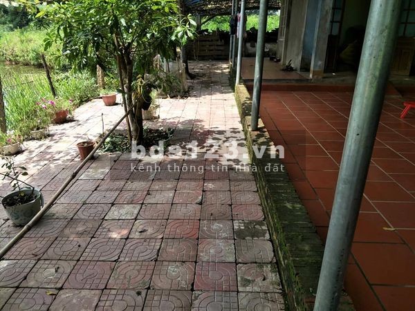Cần bán Bán trang trại tại km 9 Cốc San, Lào Cai ( cách cầu Kim Tân 7km, cách Quốc lộ 4d 2km )
