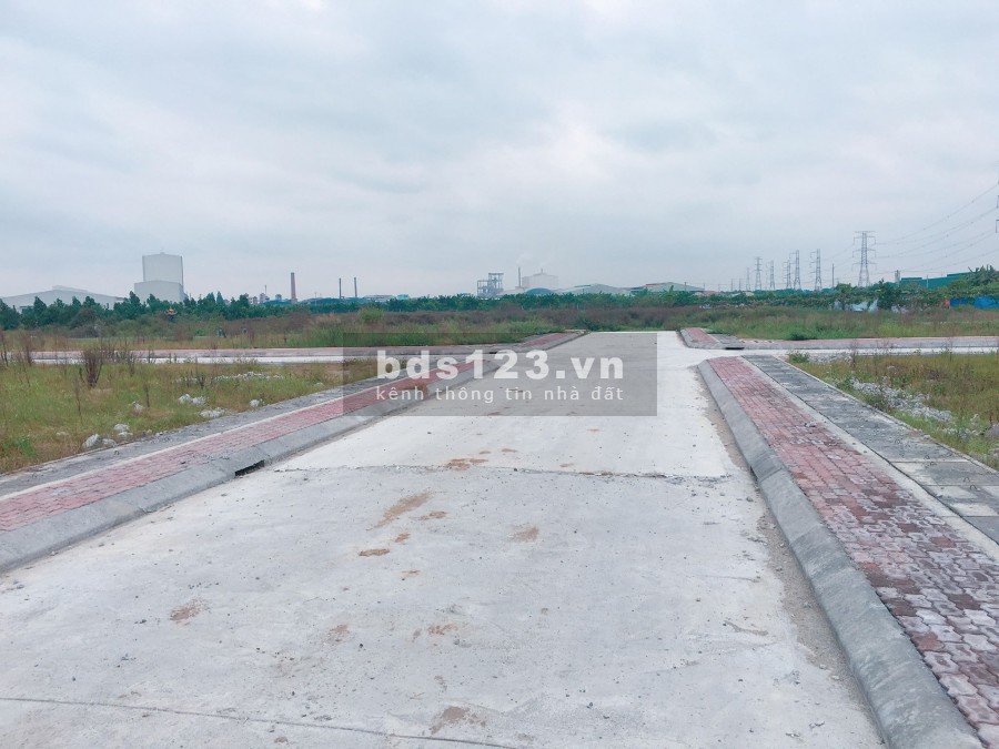 Đầu tư lãi ngay với đấu giá Ngải Dương giá thấp hơn thị trường vài giá, LH 0835459289