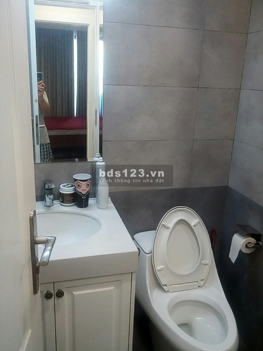 Cho thuê căn hộ chung cư Sunshine Palace 13 Lĩnh Nam, đằng sau Times City