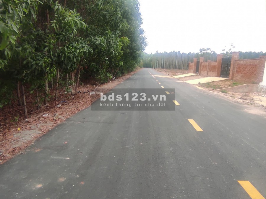 Cần Bán Gấp Đất Thổ Cư KDL Long Hải Nhiều Ưu Đãi Giá Rẻ 890triệu 100m2