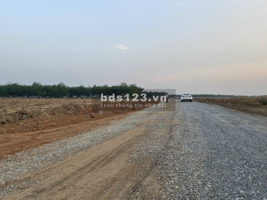 Bán đất phân lô giá rẻ Bình Phước