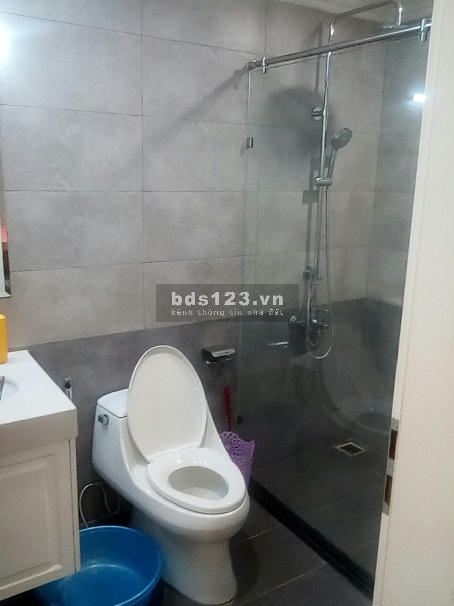 Cho thuê căn hộ chung cư Sunshine Palace 13 Lĩnh Nam, đằng sau Times City